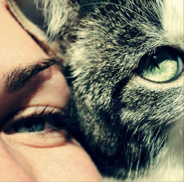 Daily Picdump [WEEKEND EDITION]