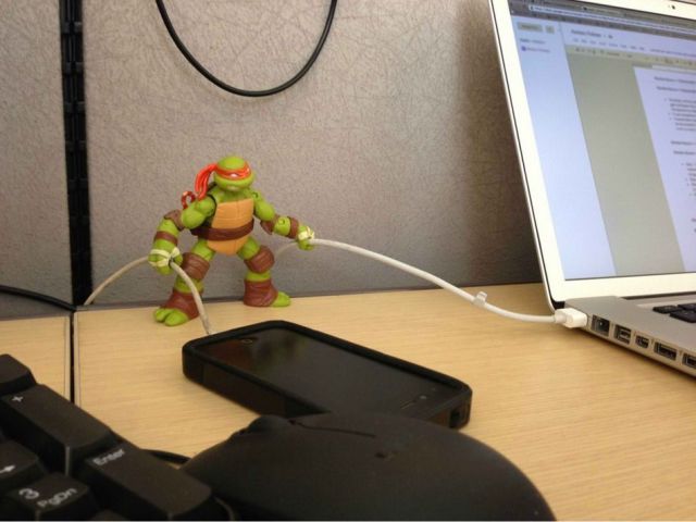 Daily Picdump [WEEKEND EDITION]