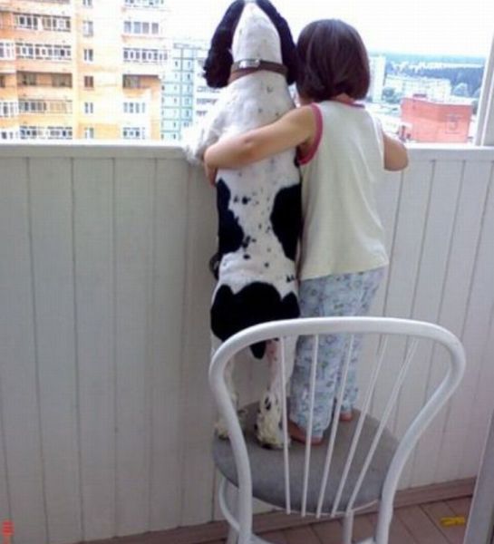 daily picdump weekend edition 97 pics 9.html - 97 HD Photos | Premium Gallery 2012