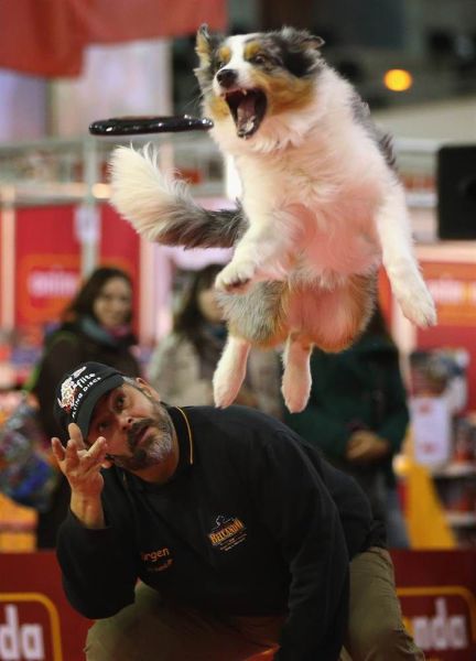 daily picdump weekend edition 97 pics 9.html - 97 HD Photos | Premium Gallery 2012