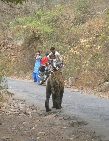 daily picdump weekend edition 97 pics 9.html - 97 HD Photos | Premium Gallery 2012