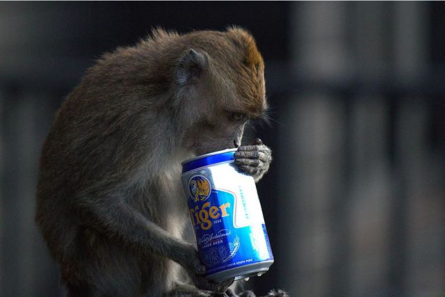 daily picdump weekend edition 97 pics 9.html - 97 HD Photos | Premium Gallery 2012