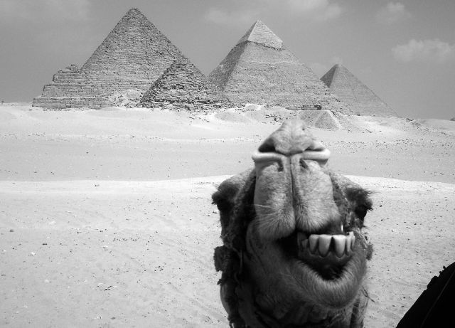 daily picdump weekend edition 97 pics 9.html - 97 HD Photos | Premium Gallery 2012