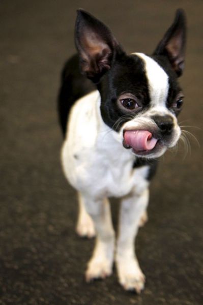 daily picdump weekend edition 97 pics 9.html - 97 HD Photos | Premium Gallery 2012