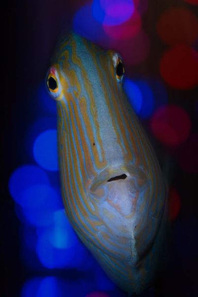 daily picdump weekend edition 97 pics 9.html - 97 HD Photos | Premium Gallery 2012