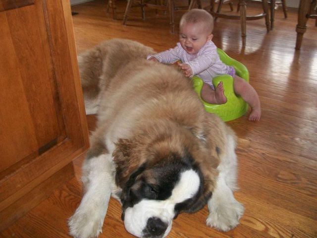 daily picdump 100 pics 3.html - 100 HD Photos | Premium Gallery 2012