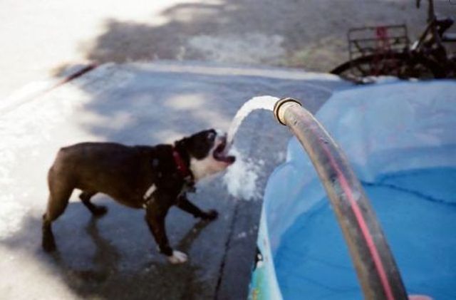 daily picdump 100 pics 3.html - 100 HD Photos | Premium Gallery 2012