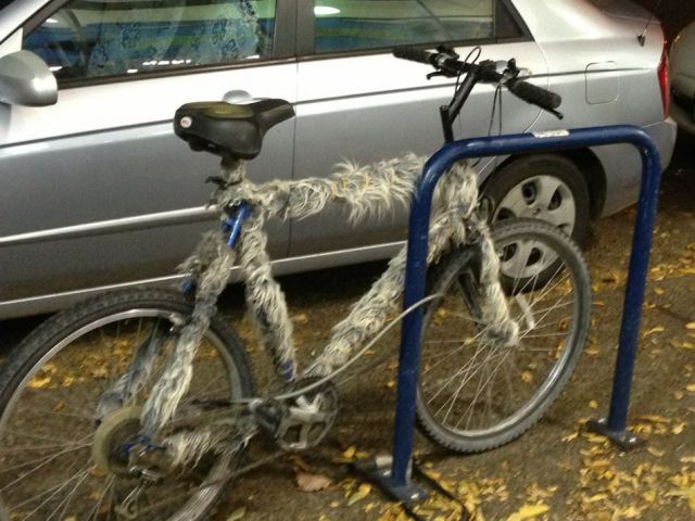 daily picdump 100 pics 3.html - 100 HD Photos | Premium Gallery 2012