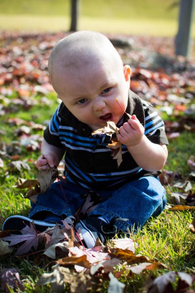 daily picdump 100 pics 3.html - 100 HD Photos | Premium Gallery 2012