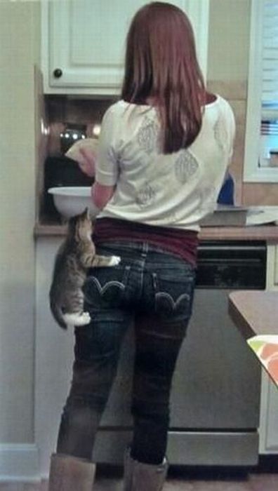 daily picdump 100 pics 3.html - 100 HD Photos | Premium Gallery 2012