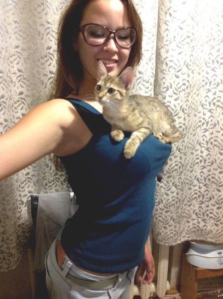 Kitten Gets the Best Seat in the House