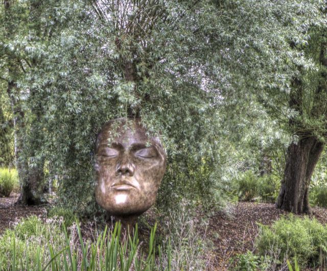 morning picdump 52 pics 1.html - 52 HD Photos | Premium Gallery 2012