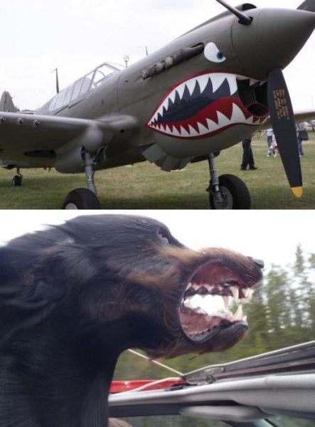 morning picdump 51 pics 15.html - 51 HD Photos | Premium Gallery 2012