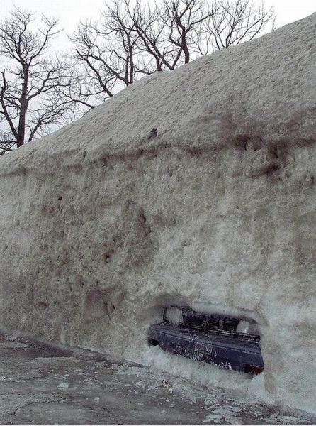 morning picdump 51 pics 15.html - 51 HD Photos | Premium Gallery 2012