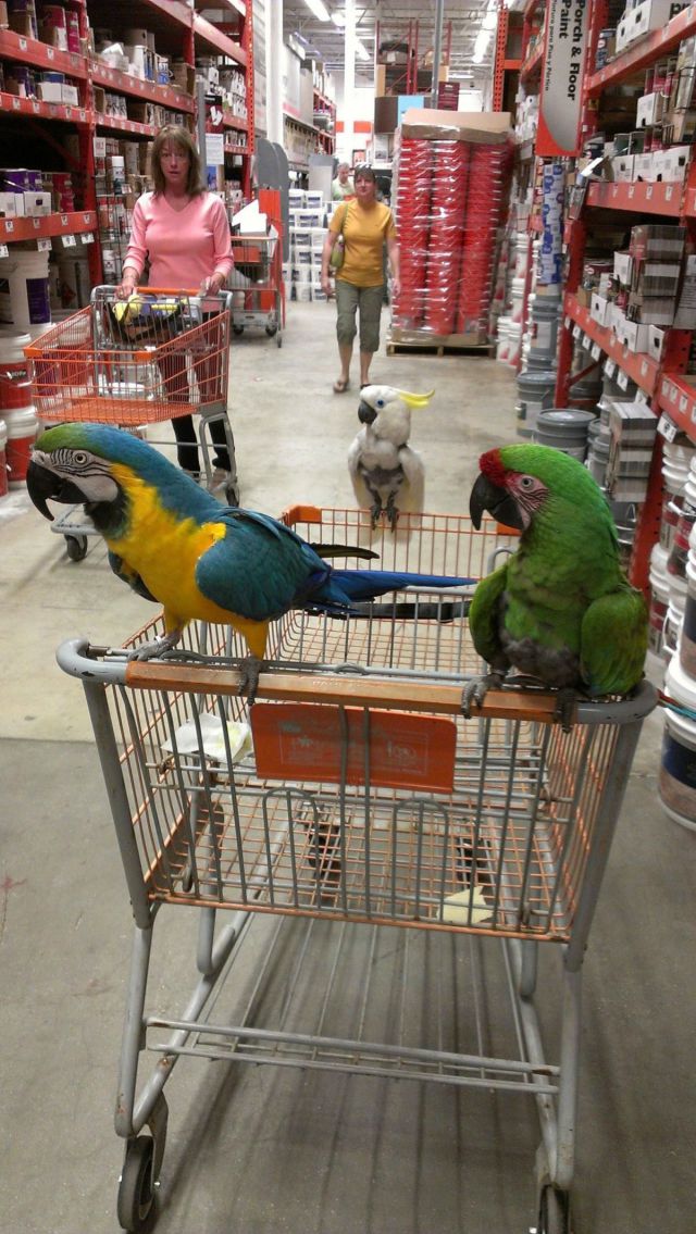 morning picdump 51 pics 15.html - 51 HD Photos | Premium Gallery 2012