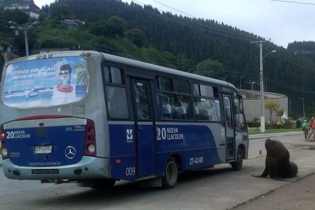 morning picdump 52 pics 19.html - 52 HD Photos | Premium Gallery 2012