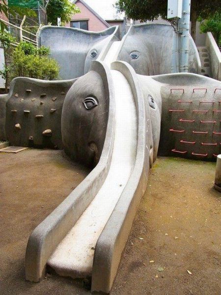 morning picdump 53 pics 7.html - 53 HD Photos | Premium Gallery 2012