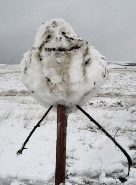 daily picdump 97 pics 46.html - 97 HD Photos | Premium Gallery 2012