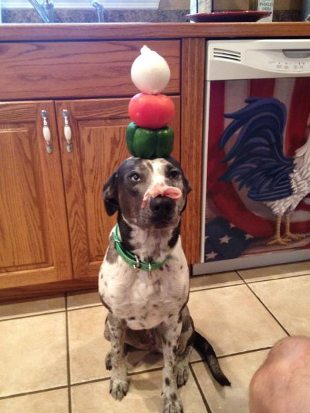 daily picdump 97 pics 46.html - 97 HD Photos | Premium Gallery 2012