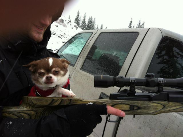 daily picdump 97 pics 46.html - 97 HD Photos | Premium Gallery 2012