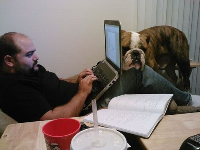 daily picdump 97 pics 46.html - 97 HD Photos | Premium Gallery 2012