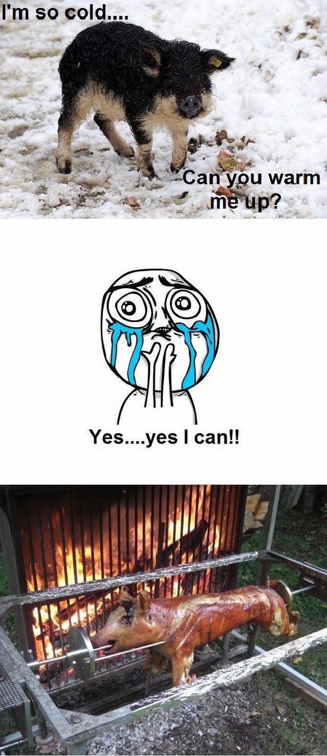 morning picdump 53 pics 4.html - 53 HD Photos | Premium Gallery 2012