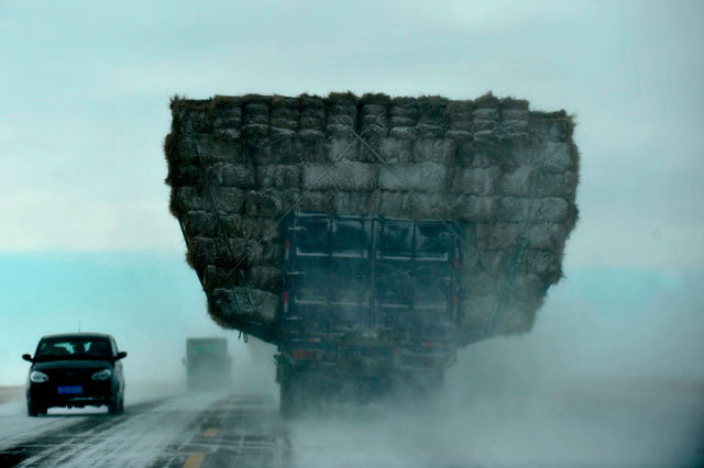 morning picdump 52 pics 14.html - 52 HD Photos | Premium Gallery 2012