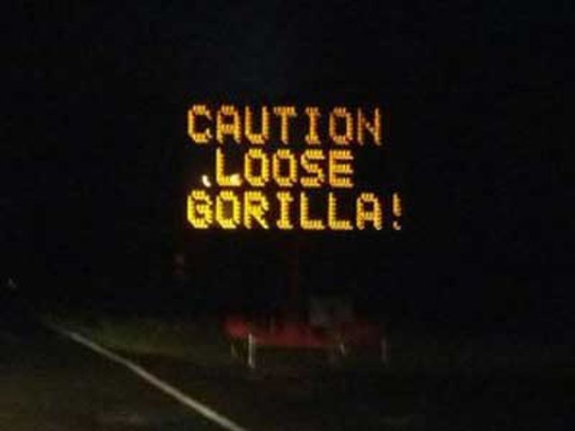 morning picdump 52 pics 14.html - 52 HD Photos | Premium Gallery 2012