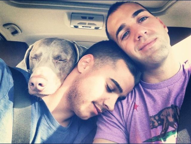 morning picdump 52 pics 14.html - 52 HD Photos | Premium Gallery 2012