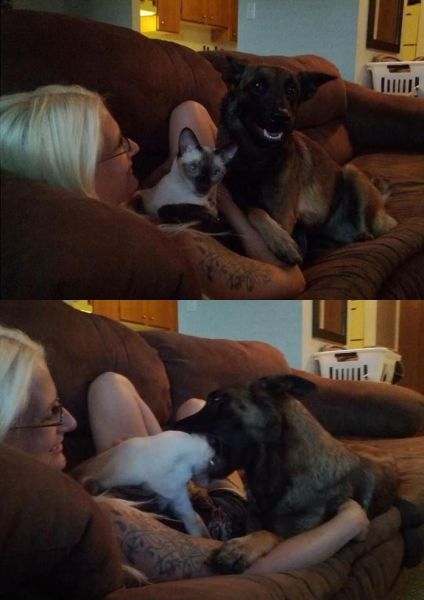 Daily Picdump [WEEKEND EDITION]