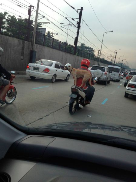 Daily Picdump [WEEKEND EDITION]