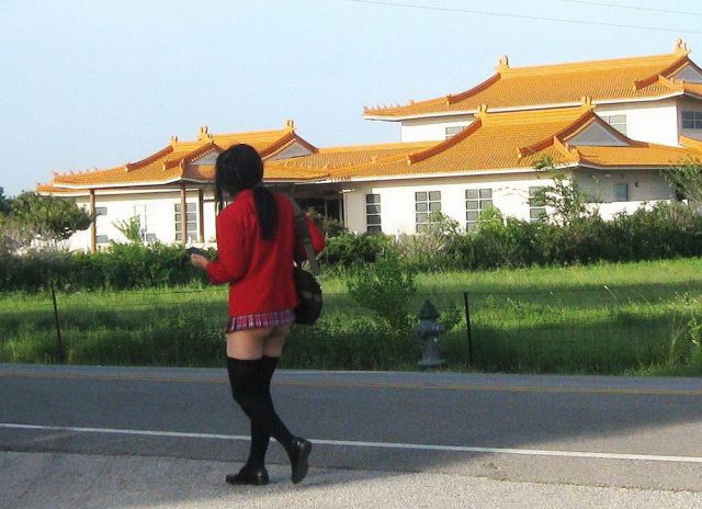 Daily Picdump [WEEKEND EDITION]