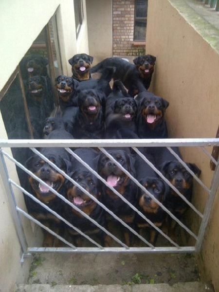 daily picdump weekend edition 98 pics 38.html - 98 HD Photos | Premium Gallery 2012