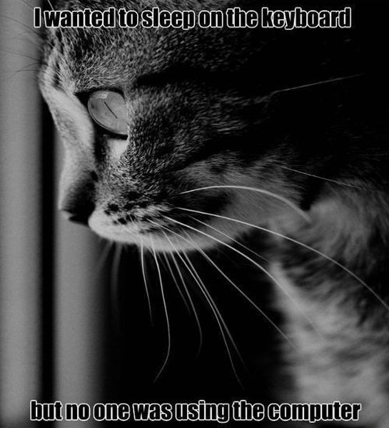 daily picdump weekend edition 98 pics 38.html - 98 HD Photos | Premium Gallery 2012