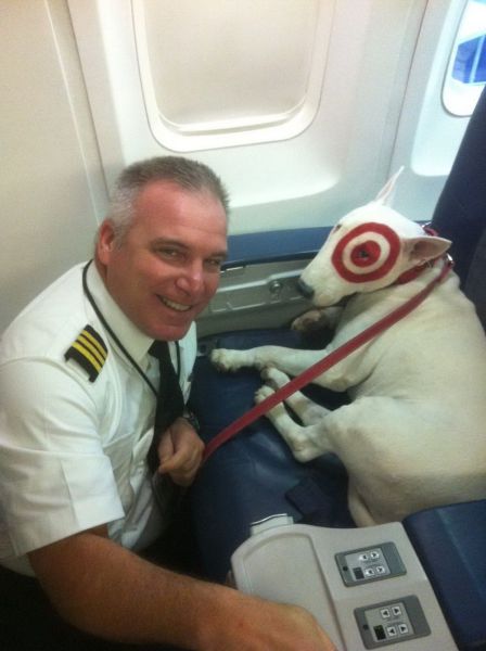 daily picdump weekend edition 98 pics 38.html - 98 HD Photos | Premium Gallery 2012