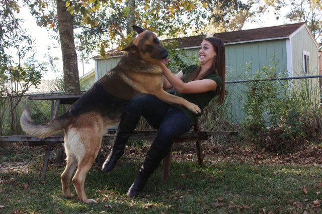 daily picdump weekend edition 98 pics 38.html - 98 HD Photos | Premium Gallery 2012