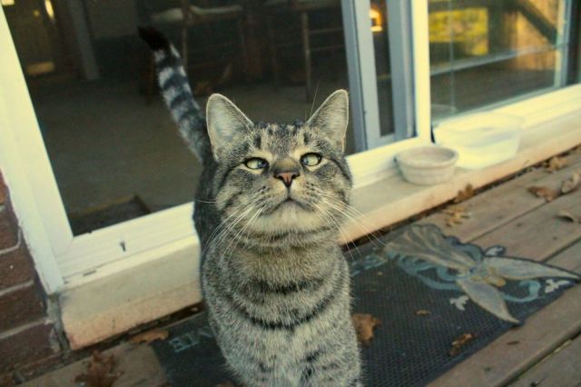 daily picdump weekend edition 98 pics 38.html - 98 HD Photos | Premium Gallery 2012