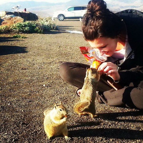 daily picdump weekend edition 98 pics 38.html - 98 HD Photos | Premium Gallery 2012