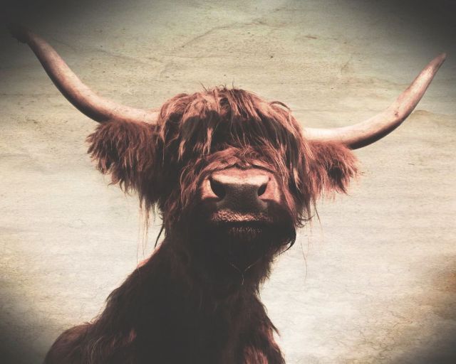 daily picdump weekend edition 98 pics 38.html - 98 HD Photos | Premium Gallery 2012