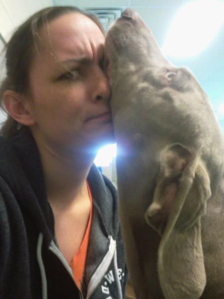 daily picdump 94 pics 45.html - 94 HD Photos | Premium Gallery 2012