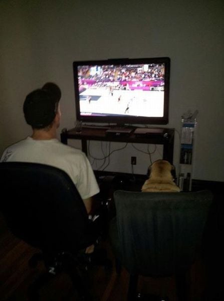 daily picdump 94 pics 45.html - 94 HD Photos | Premium Gallery 2012