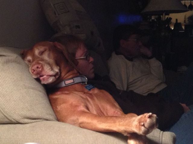 daily picdump 94 pics 45.html - 94 HD Photos | Premium Gallery 2012