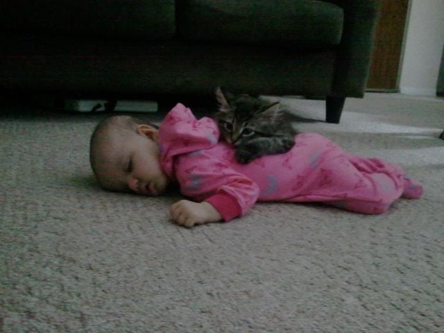 morning picdump 55 pics 16.html - 55 HD Photos | Premium Gallery 2012