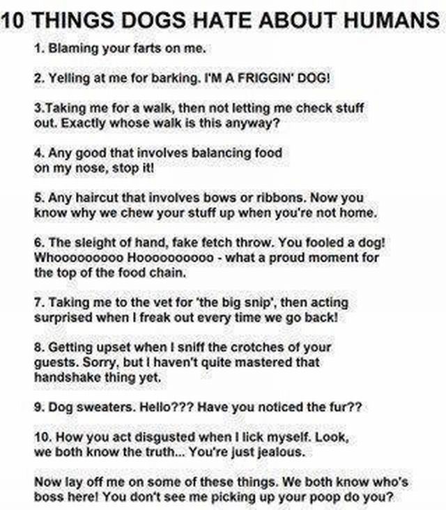 morning picdump 52 pics 14.html - 52 HD Photos | Premium Gallery 2012