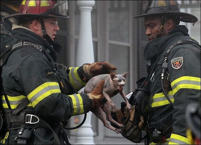 Daily Picdump [WEEKEND EDITION]