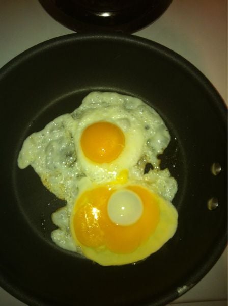 daily picdump weekend edition 93 pics 7.html - 93 HD Photos | Premium Gallery 2012