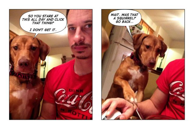 daily picdump weekend edition 93 pics 7.html - 93 HD Photos | Premium Gallery 2012