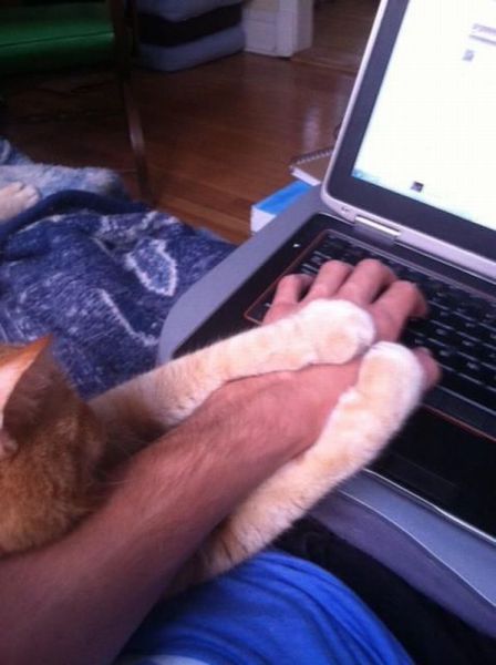 daily picdump weekend edition 93 pics 7.html - 93 HD Photos | Premium Gallery 2012