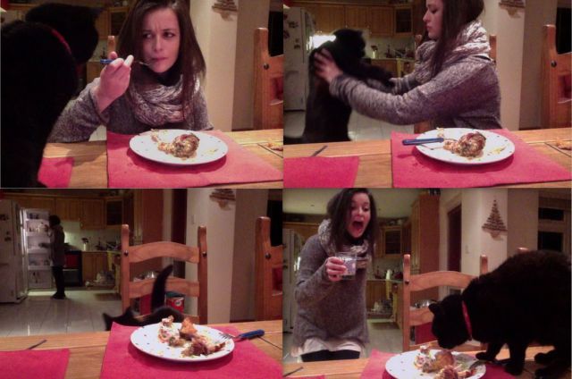 daily picdump weekend edition 93 pics 7.html - 93 HD Photos | Premium Gallery 2012