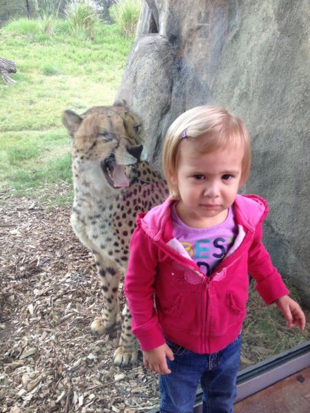 daily picdump weekend edition 93 pics 7.html - 93 HD Photos | Premium Gallery 2012